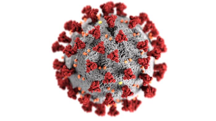 Corona-Virus (Copyright: CDC/ Alissa Eckert, MSMI; Dan Higgins, MAMS)